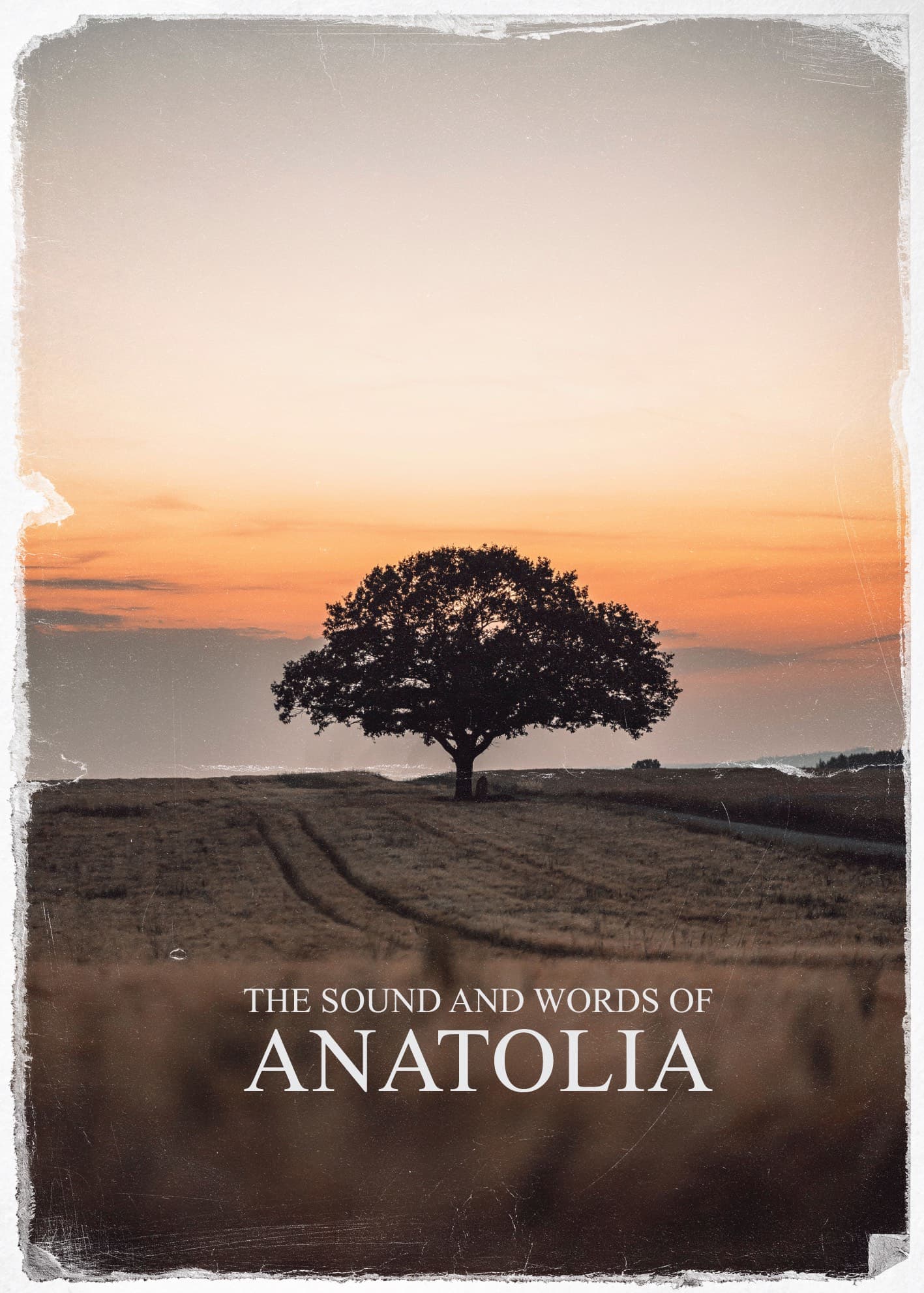 THE SOUND AND WORDS OF ANATOLIA